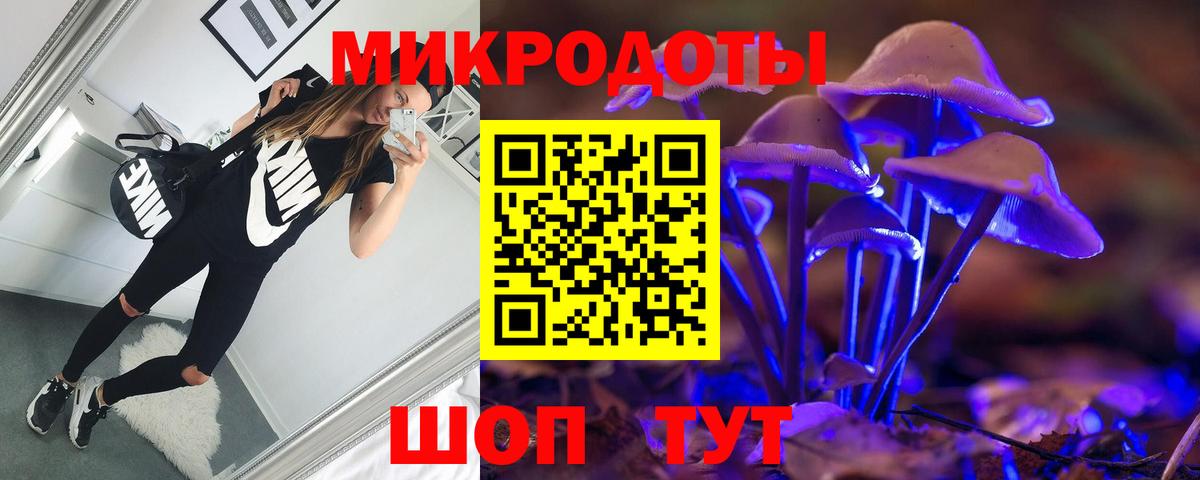 Псилоцибиновые грибы MAGIC MUSHROOMS Печора
